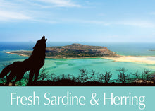 画像をギャラリービューアに読み込む, 正規品【犬用】AMBROSIA アンブロシア HMN サーディン&ヘリング ドッグ ドッグフード(AMBROSIA Ultra Premium Dog Food Sardine Herring)