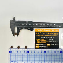 画像をギャラリービューアに読み込む, 正規品【猫用】AMBROSIA アンブロシア クラシック キャット サーモン&チキン キャットフード(AMBROSIA Ultra Premium Cat Food Salmon Chicken)