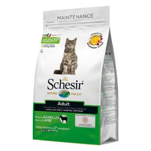 画像をギャラリービューアに読み込む, 【猫用】Schesir シシア ドライフード アダルト ラム