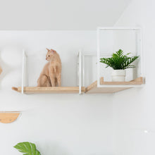 画像をギャラリービューアに読み込む, 【猫用】キャットステップ・ウォールシェルフ MYZOO-AVENUE(オーク)