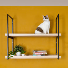 画像をギャラリービューアに読み込む, 【猫用】キャットステップ・ウォールシェルフ MYZOO-AVENUE(オーク)