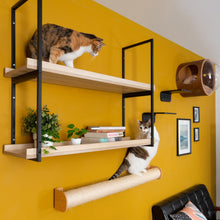 画像をギャラリービューアに読み込む, 【猫用】キャットステップ・ウォールシェルフ MYZOO-AVENUE(オーク)