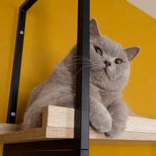 画像をギャラリービューアに読み込む, 【猫用】キャットステップ・ウォールシェルフ MYZOO-AVENUE(オーク)