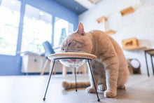 画像をギャラリービューアに読み込む, 【犬猫用】ペット用食器 MYZOO-OUTERSPACE