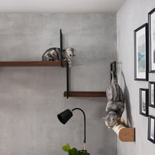 画像をギャラリービューアに読み込む, 【猫用】キャットステップ・ウォールシェルフ MYZOO-AVENUE(ウォールナット)