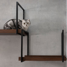 画像をギャラリービューアに読み込む, 【猫用】キャットステップ・ウォールシェルフ MYZOO-AVENUE(ウォールナット)
