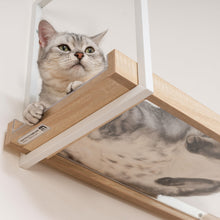 画像をギャラリービューアに読み込む, 【猫用】キャットステップ・ウォールシェルフ MYZOO-AVENUE(クリア)