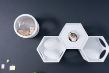 画像をギャラリービューアに読み込む, 【猫用】キャットステップ MYZOO-六角ハウス(ホワイト)