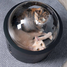 画像をギャラリービューアに読み込む, 【猫用(小型犬)】ベッド MYZOO-宇宙船GAMMA(ブラック)