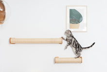 画像をギャラリービューアに読み込む, 【猫用】爪とぎ MYZOO-CYLINDER