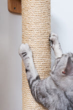 画像をギャラリービューアに読み込む, 【猫用】爪とぎ MYZOO-CYLINDER