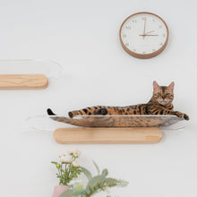 画像をギャラリービューアに読み込む, 【猫用】キャットステップ MYZOO-OBLONG(クリア)