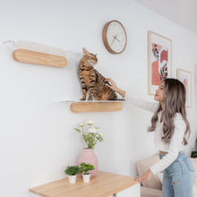 画像をギャラリービューアに読み込む, 【猫用】キャットステップ MYZOO-OBLONG(クリア)