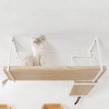画像をギャラリービューアに読み込む, 【猫用】キャットステップ・ウォールシェルフ MYZOO-AVENUE(オーク)