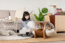 画像をギャラリービューアに読み込む, 【猫用】 ベッド MYZOO-宇宙船ALPHA(ウォールナット素材)