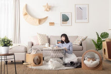 画像をギャラリービューアに読み込む, 【猫用】 ベッド MYZOO-宇宙船ALPHA(ウォールナット素材)