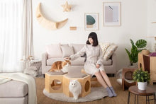 画像をギャラリービューアに読み込む, 【猫用】部品 MYZOO-六角ハウスチェアプレート(無地)