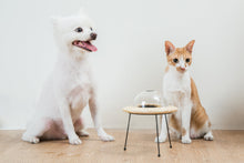 画像をギャラリービューアに読み込む, 【犬猫用】ペット用食器 MYZOO-OUTERSPACE
