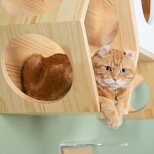 画像をギャラリービューアに読み込む, 【猫用】キャットステップ MYZOO-六角ハウス(無地)