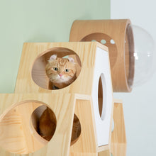 画像をギャラリービューアに読み込む, 【猫用】キャットステップ MYZOO-六角ハウス(無地)