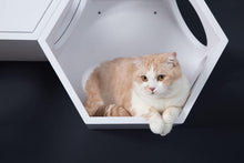 画像をギャラリービューアに読み込む, 【猫用】キャットステップ MYZOO-六角ハウス(ホワイト)