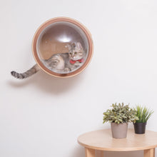 画像をギャラリービューアに読み込む, 【猫用(小型犬)】ベッド MYZOO-宇宙船GAMMA(ウォールナット素材)