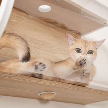 画像をギャラリービューアに読み込む, 【猫用】キャットステップ・猫用ベッド MYZOO-TUNNEL