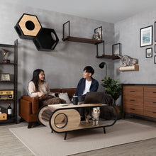 画像をギャラリービューアに読み込む, 【猫用】キャットステップ・ウォールシェルフ MYZOO-AVENUE(ウォールナット)