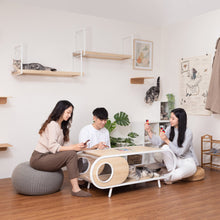 画像をギャラリービューアに読み込む, 【猫用】テーブル・猫ハウス MYZOO-COSMOS