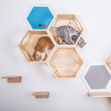 画像をギャラリービューアに読み込む, 【猫用】キャットステップ MYZOO-六角ハウス(無地)