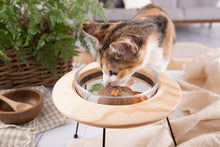 画像をギャラリービューアに読み込む, 【犬猫用】ペット用食器 MYZOO-OUTERSPACE