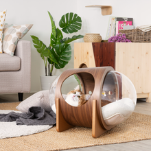 画像をギャラリービューアに読み込む, 【猫用】 ベッド MYZOO-宇宙船ALPHA(ウォールナット素材)