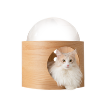 画像をギャラリービューアに読み込む, 【猫用(小型犬)】ベッド MYZOO-宇宙船GAMMA(オーク素材)