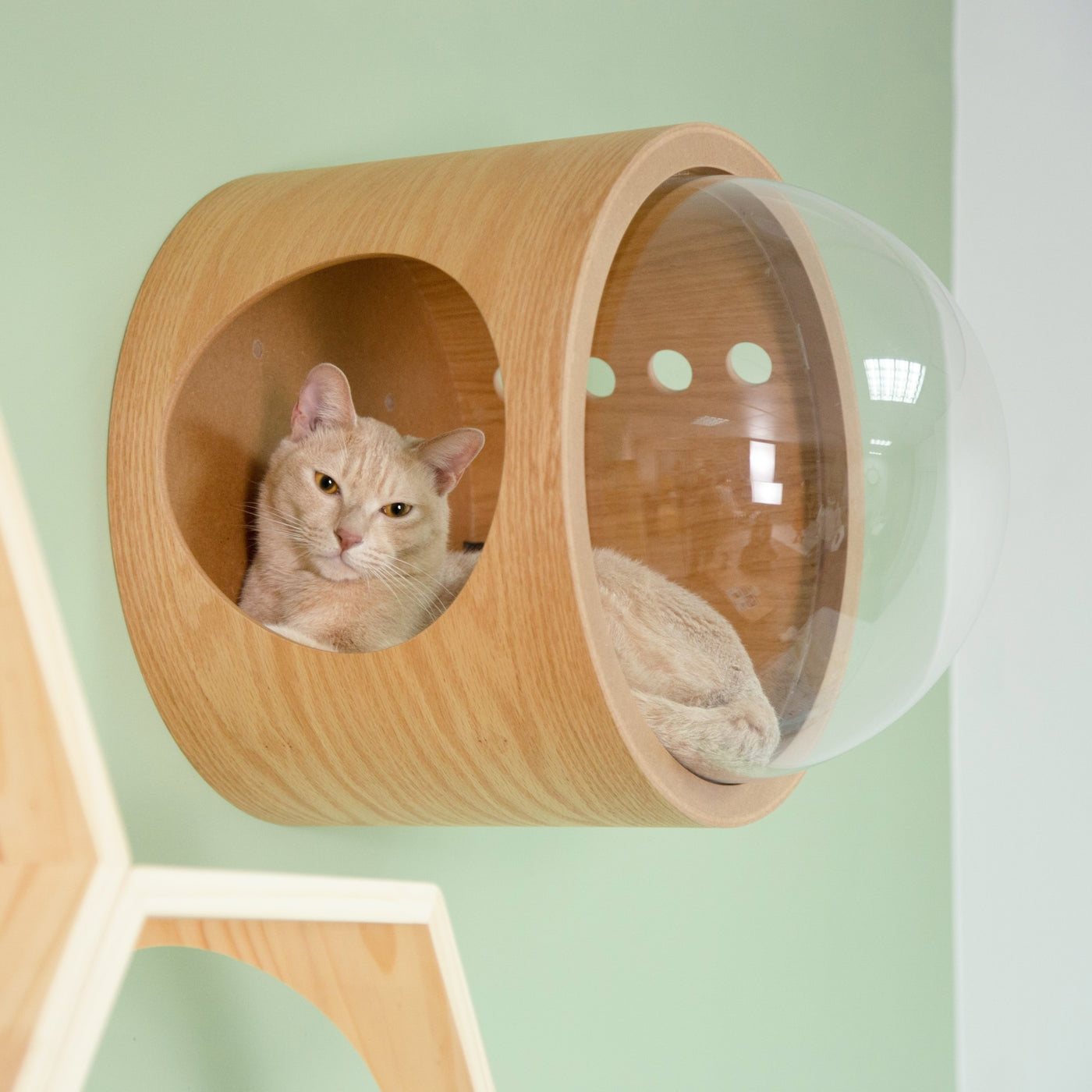 猫用品 MYZOO 宇宙船