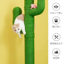 画像をギャラリービューアに読み込む, 【猫用】VETRESKA(ベトレスカ) 猫家具 キャットタワー / サボテン型