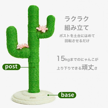 画像をギャラリービューアに読み込む, 【猫用】VETRESKA(ベトレスカ) 猫家具 キャットタワー / サボテン型