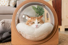 画像をギャラリービューアに読み込む, 【猫用】 ベッド MYZOO-宇宙船ALPHA（ウォールナット素材）
