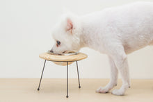 画像をギャラリービューアに読み込む, 【犬猫用】ペット用食器 MYZOO-OUTERSPACE
