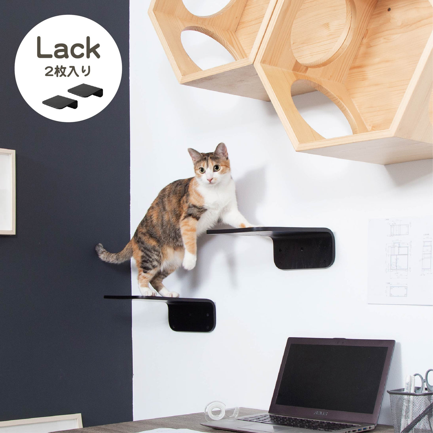 myzoo スター　新品未使用 MYZOO – Buy 1, Love 2 ～動物を助けるネットショップ～