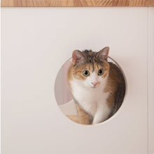 画像をギャラリービューアに読み込む, 【猫用】トイレ収納ボックス（トイレ付） MYZOO-OMEGA
