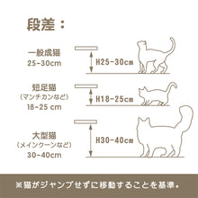 画像をギャラリービューアに読み込む, 【猫用】キャットステップ MYZOO-SOLAR

