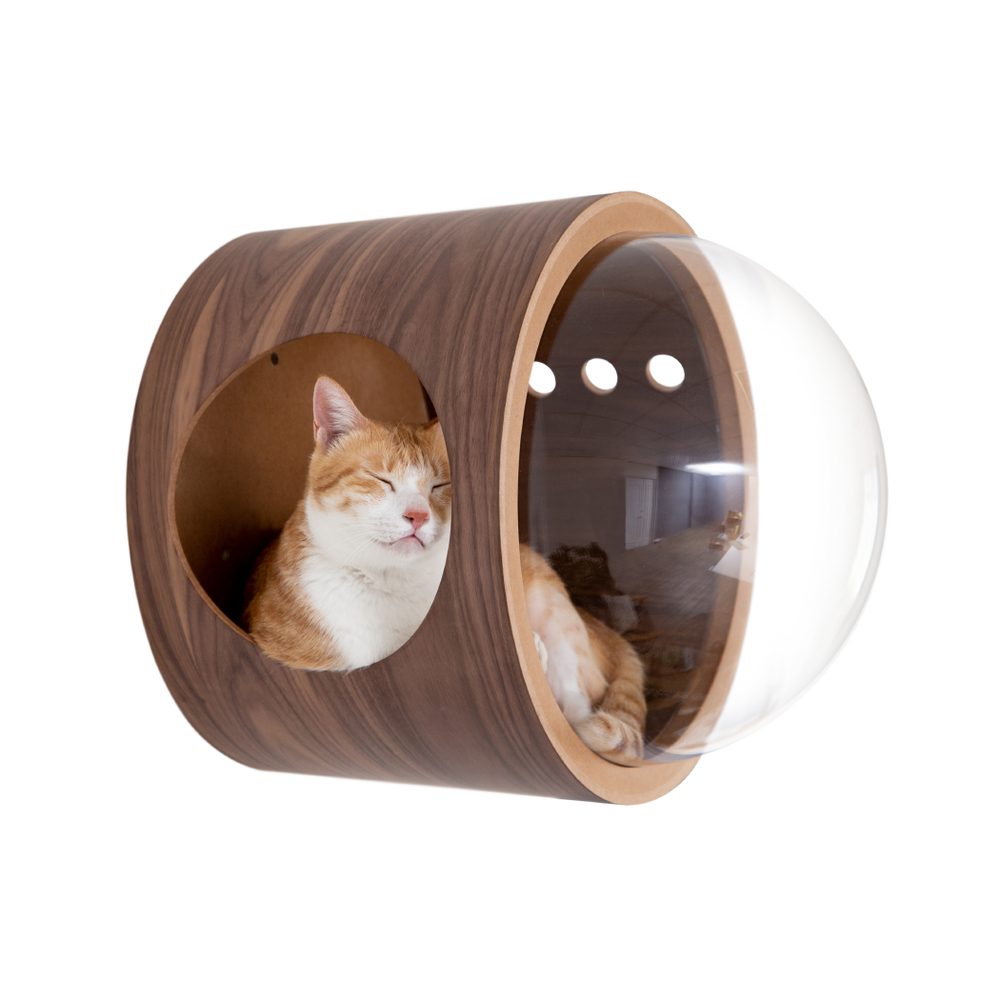 【猫用（小型犬）】ベッド MYZOO-宇宙船GAMMA（ウォールナット素材）